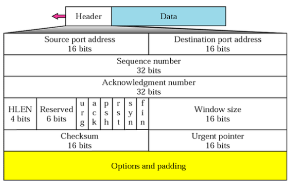 tcp-header